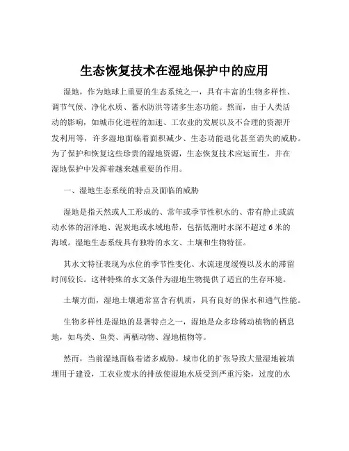 生态恢复技术在湿地保护中的应用