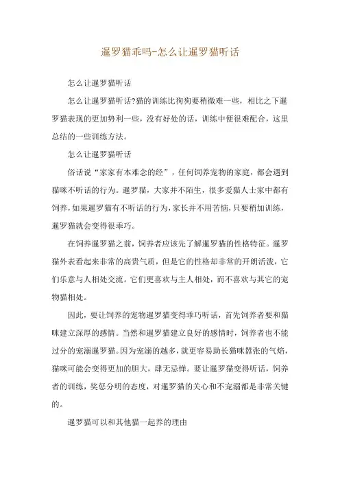 暹罗猫乖吗-怎么让暹罗猫听话