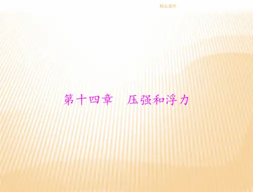 2013年中考物理复习课件压强和浮力