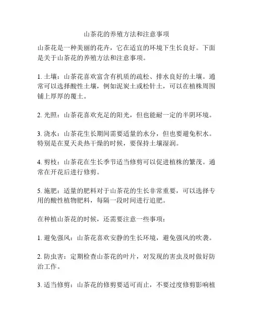 山茶花的养殖方法和注意事项