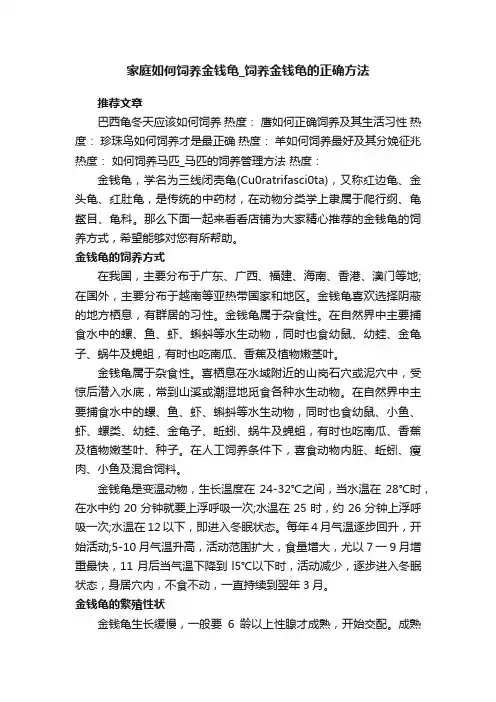 家庭如何饲养金钱龟_饲养金钱龟的正确方法