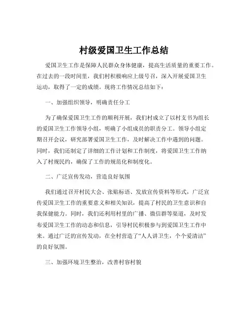 村级爱国卫生工作总结