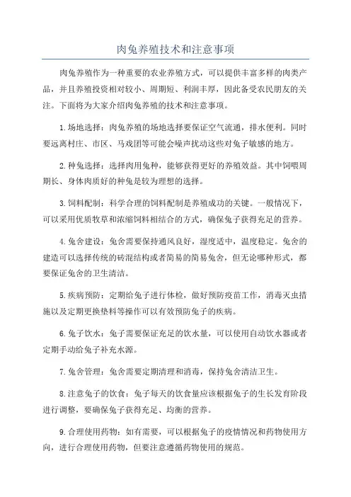 肉兔养殖技术和注意事项