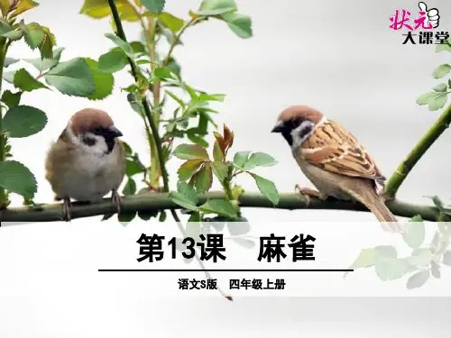 四年级上语文S《13.麻雀》