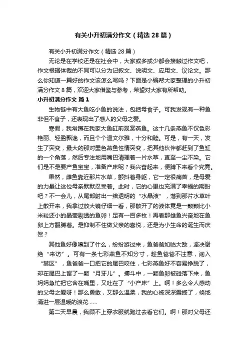 有关小升初满分作文（精选28篇）