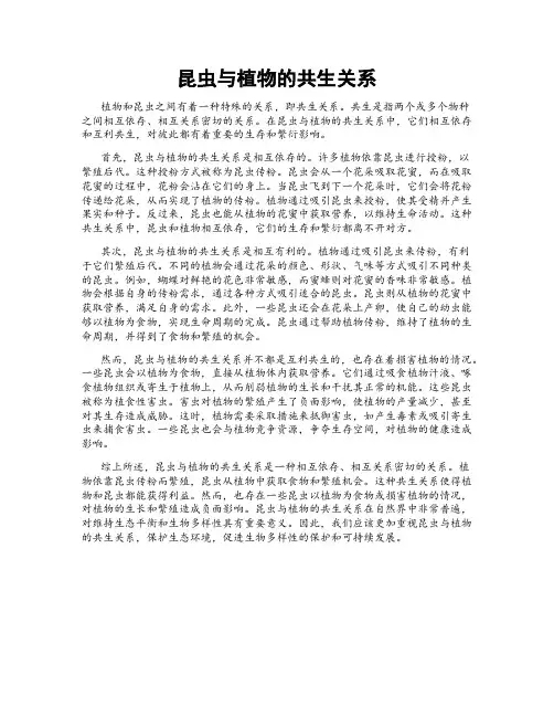昆虫与植物的共生关系