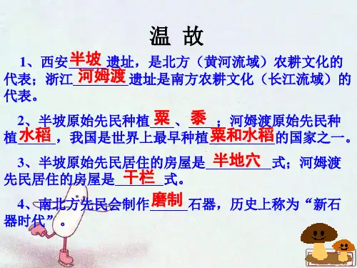 历史七上《中华民族的祖先》课件