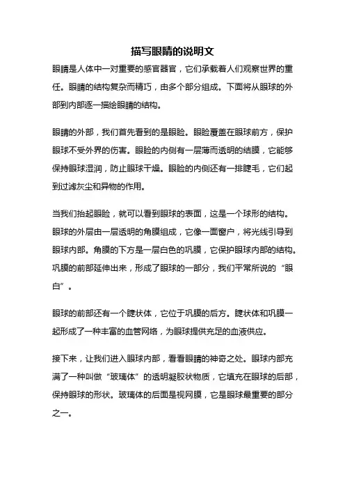 描写眼睛的说明文