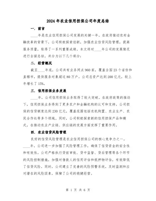 2024年农业信用担保公司年度总结(2篇)