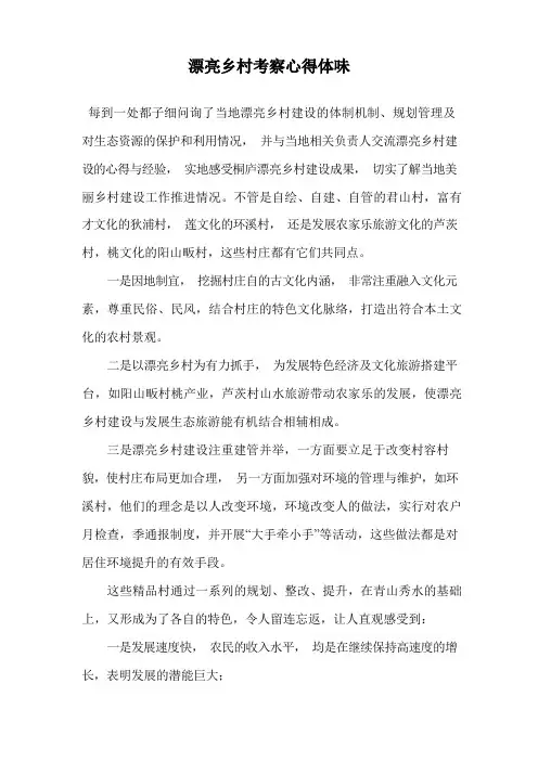 美丽乡村考察心得体会