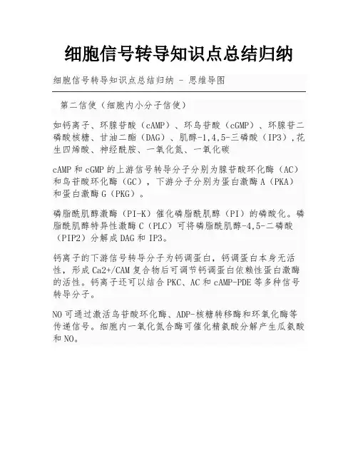 细胞信号转导知识点总结归纳