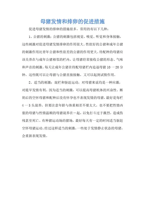 母猪发情和排卵的促进措施