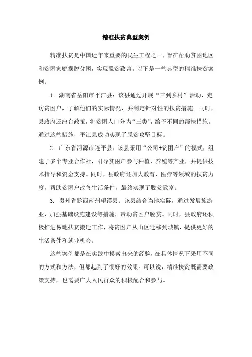 精准扶贫典型案例
