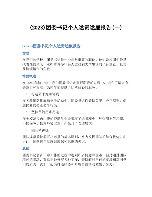 (2023)团委书记个人述责述廉报告(一)