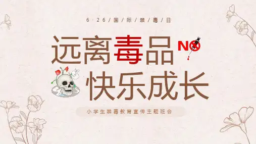 远离毒品快乐成长小学生禁毒知识宣传主题班会PPT