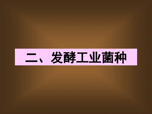 2.发酵工业菌种
