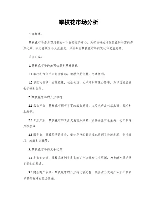 攀枝花市场分析