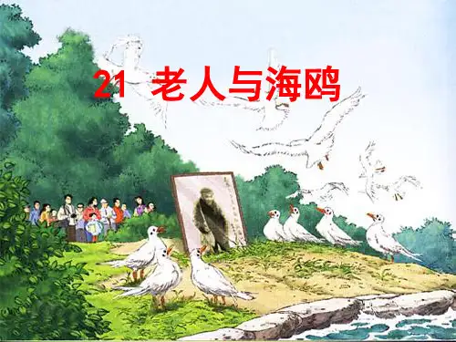部编六年级上人教《21 老人与海鸥》汪英苗PPT课件 一等奖新名师优质课获奖比赛公开免费下载