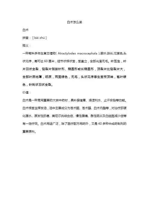 白术怎么读