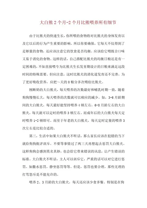 大白熊2个月-2个月比熊喂养所有细节