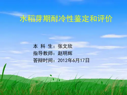 水稻芽期耐冷性鉴定和评价