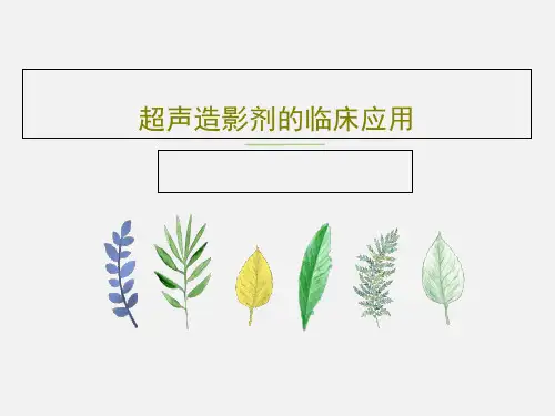 超声造影剂的临床应用32页PPT