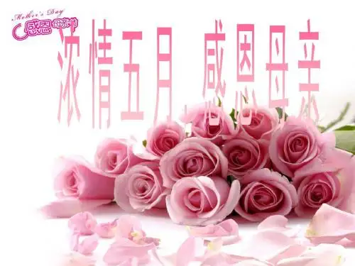 感恩母亲节PPT(29页)