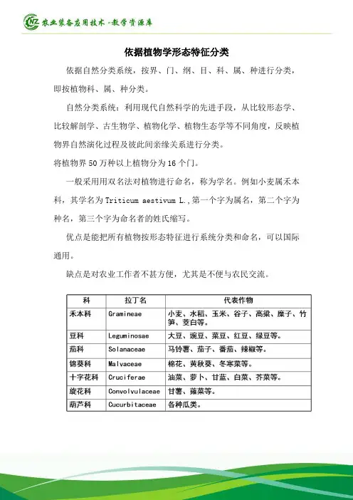 依据植物学形态特征分类.