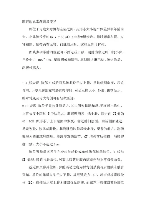 脾脏的正常解剖及变异