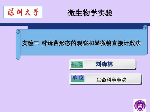 3-酵母菌形态的观察和显微镜直接计数法