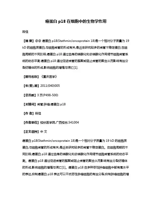 癌蛋白p18在细胞中的生物学作用