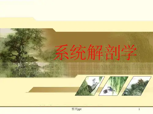 绪论骨总论躯干骨