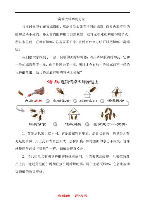 一窝端灭蟑螂的方法
