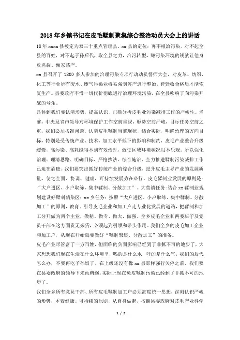 2018年乡镇书记在皮毛鞣制聚集综合整治动员大会上的讲话