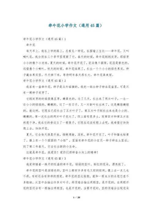 牵牛花小学作文(通用45篇)