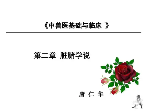 五脏心肺脾PPT课件