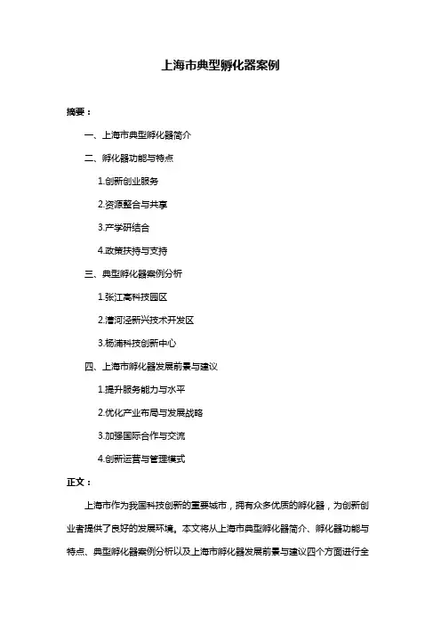 上海市典型孵化器案例