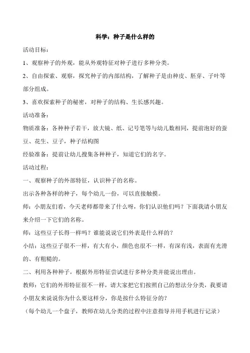 种子是什么样的