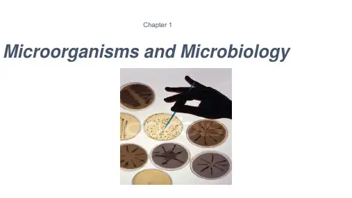 华中农业微生物学第一章英文版