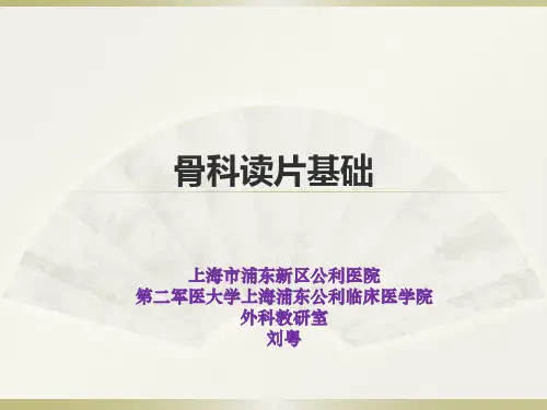 初学者必看.骨科读片