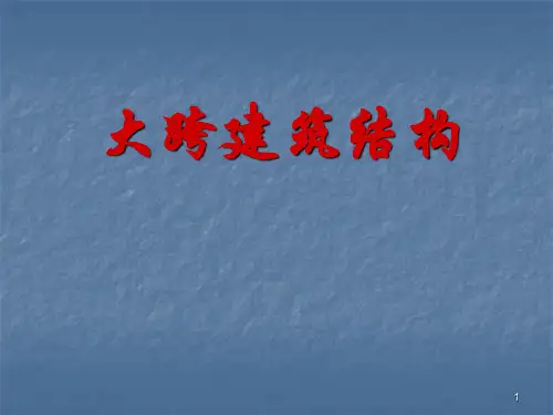 大跨建筑结构ppt课件