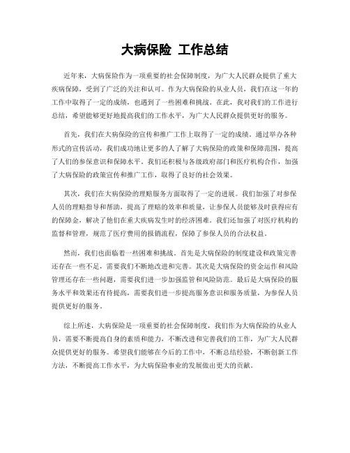 大病保险 工作总结