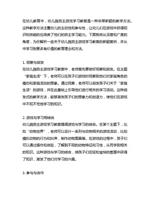 幼儿园自主游戏学习教案新颖案例解析