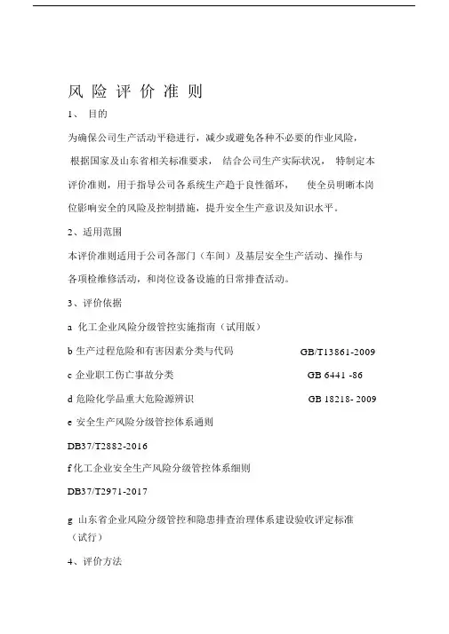 公司的风险评价准则.docx