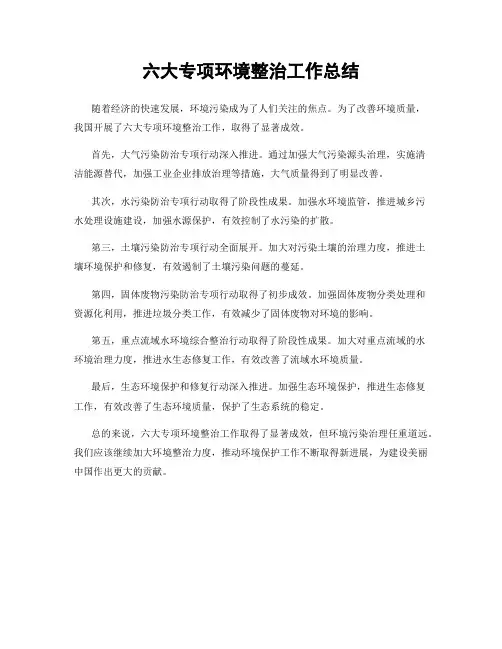 六大专项环境整治工作总结