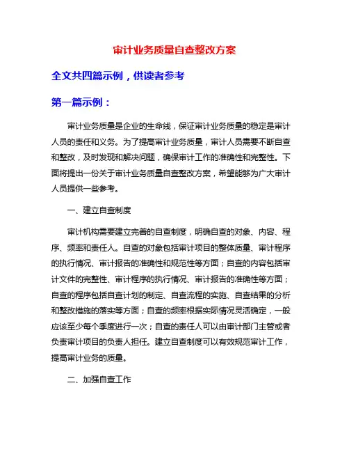 审计业务质量自查整改方案