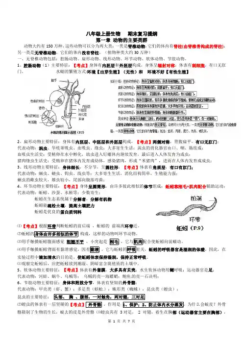 八年级上册生物  动物的主要类群