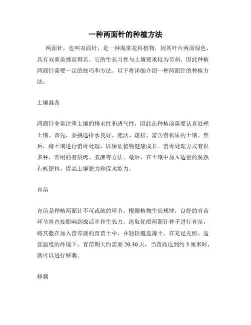 一种两面针的种植方法