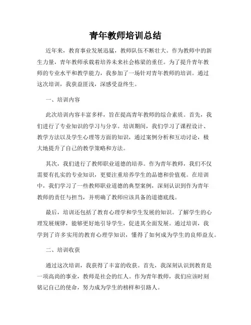 青年教师培训总结