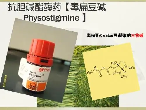 抗胆碱酯酶药【毒扁豆碱Physostigmine 】